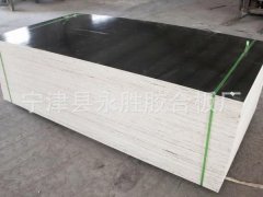 覆膜建筑模板、清水模板工地專用圖2